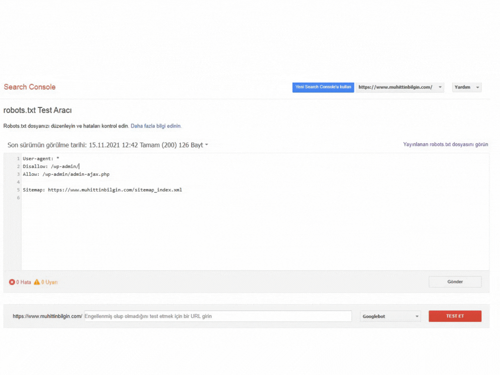 Google Robots.txt Test Aracı